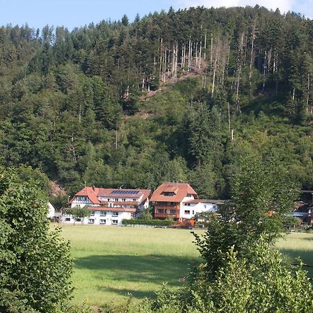 Ferienwohnung Am Rain Winden im Elztal Εξωτερικό φωτογραφία