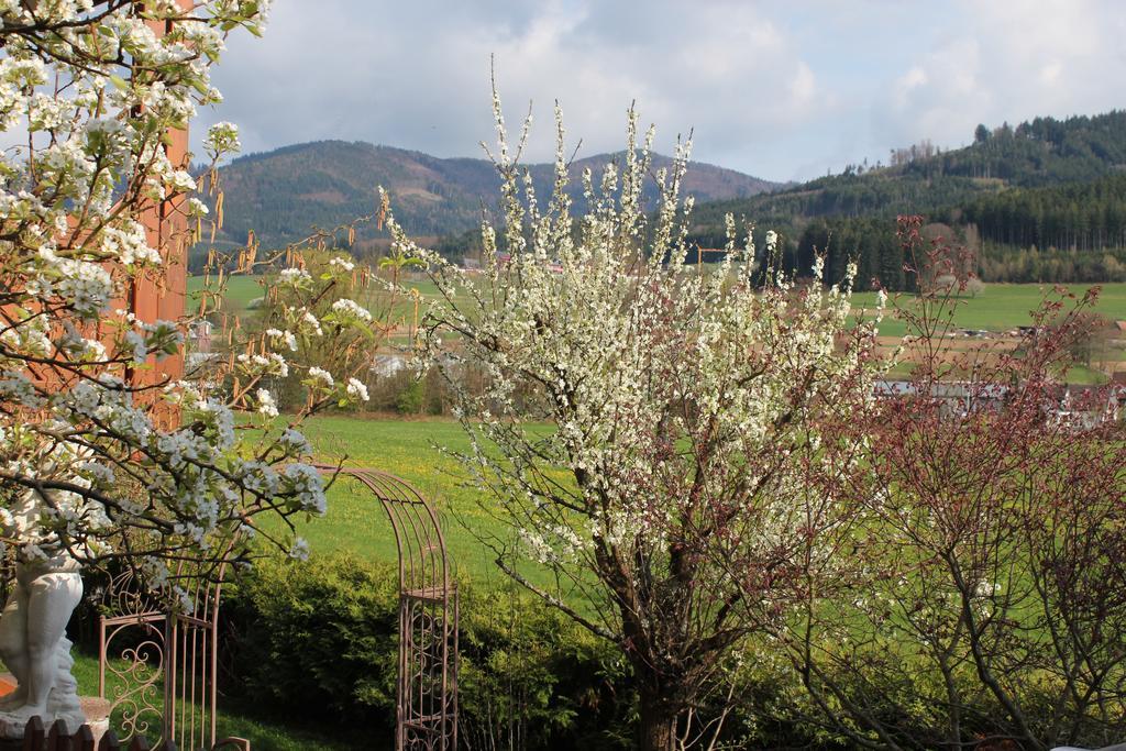 Ferienwohnung Am Rain Winden im Elztal Εξωτερικό φωτογραφία